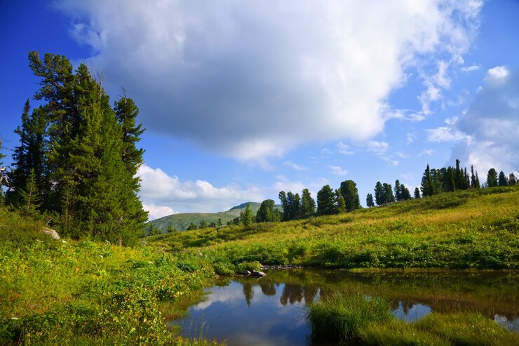 Rusizi National Park