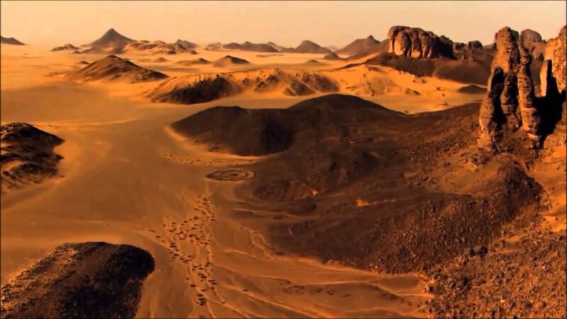 Treasures of the Sahara Exploring Algeria'S Unique Wildlife