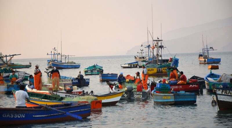 Marine Resources of Cabo Verde: Sustainable Fishing And Conservation Efforts