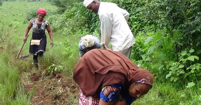 Sustainable Farming Practices in Cameroon: Enhancing Productivity And Resilience