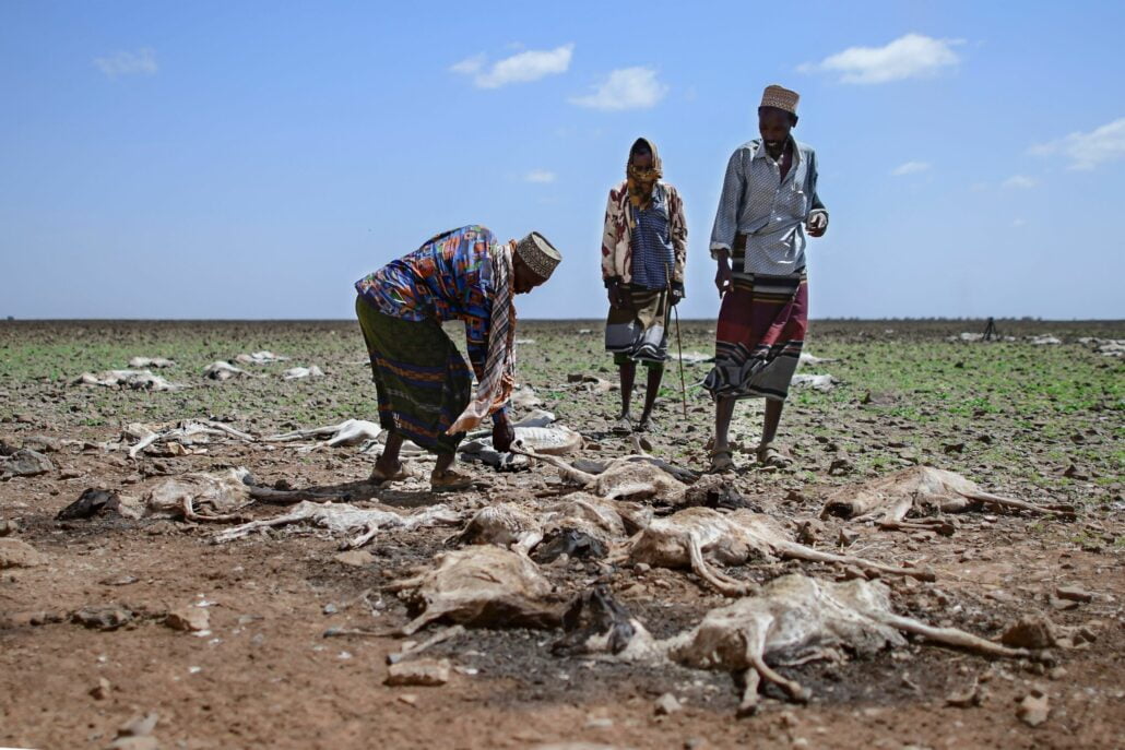 Political Stability in Sudan: Building Resilience in a Dynamic Society