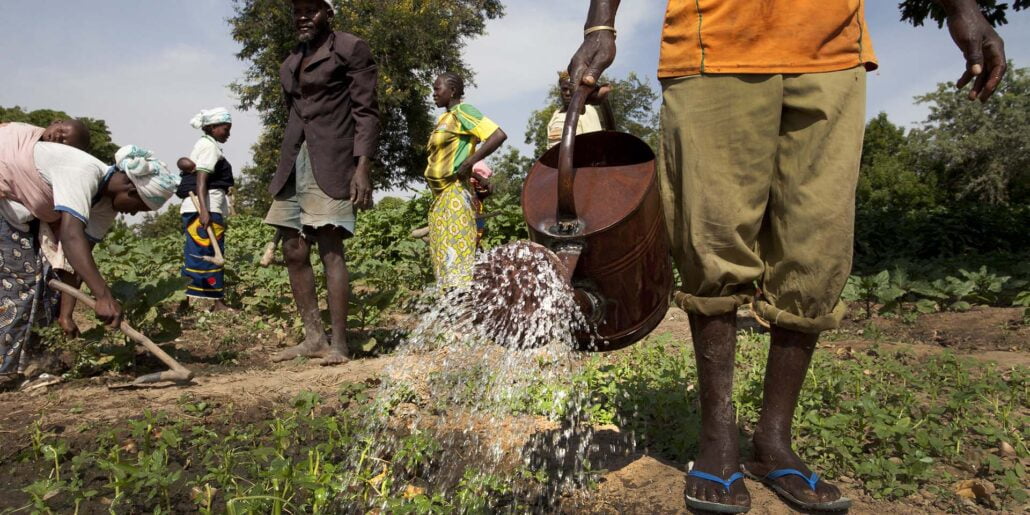 Subsistence to Sustainability: The Challenges And Opportunities of Burkina Faso'S Agriculture