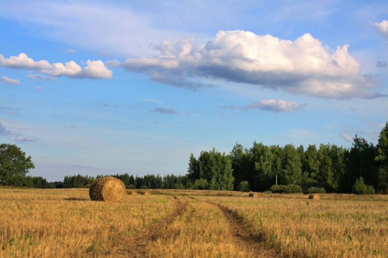 A beveled field of dry grass and sky with clouds