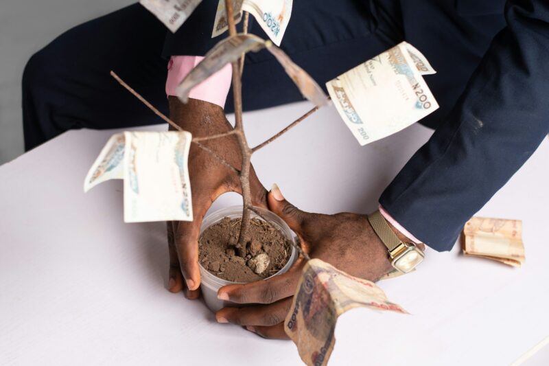 a black man holding money tree