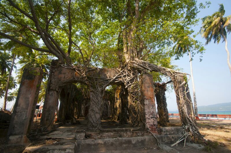 Abandoned colonial archite, Andaman and Nicobar