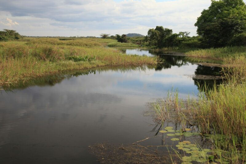 Abuket River, Uganda, Africa