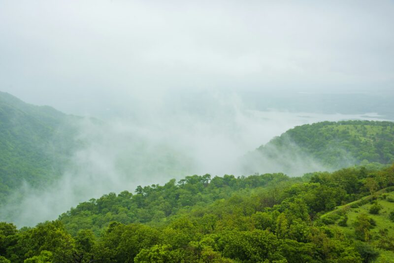 Aerial top view of Fog covers forest, View from above
