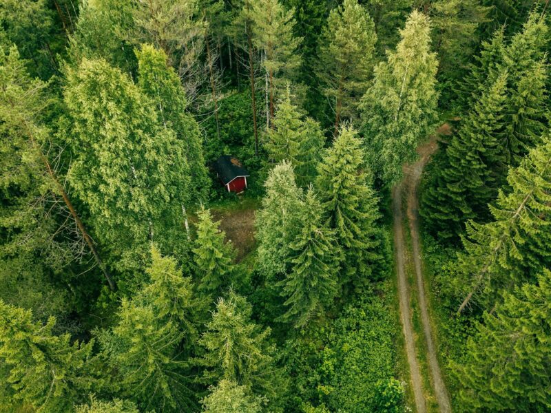 Aerial view of the road through the spruce forest. red cabin in the forest in Finland