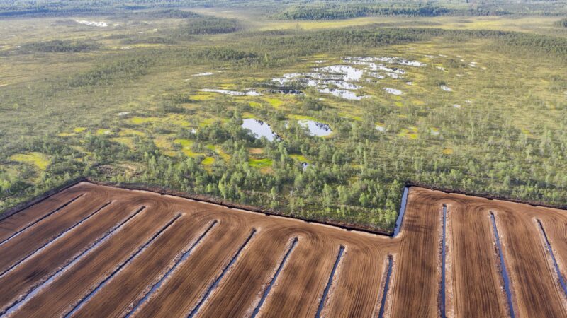 Aerial view to the bog landscape with natural elements and peat extraction site