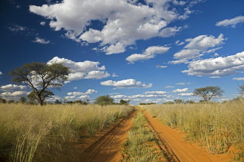 Africa, Botswana,Track through Kalahari Desert