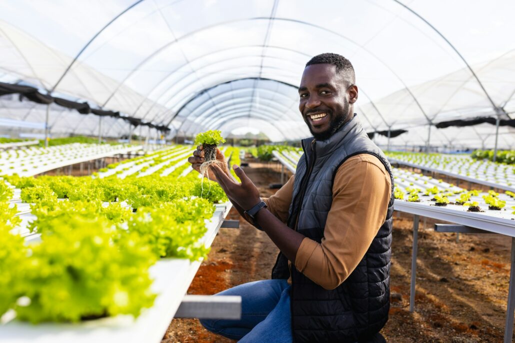 African American young male farm supervisor holding a plant, smiling in a greenhouse hydroponic farm
