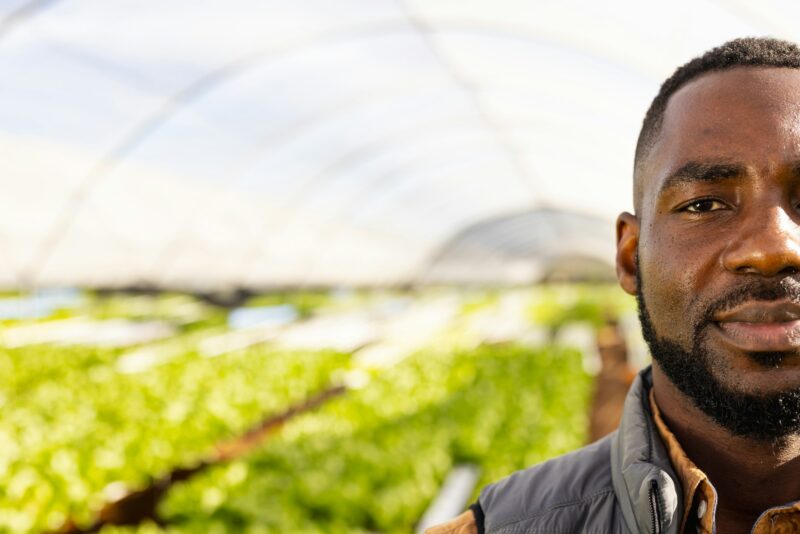 African American young male farm supervisor standing in greenhouse at a hydroponic farm, copy space