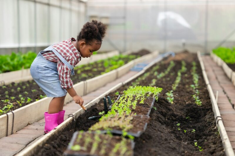 African black child playing planting the green tree gardening in agriculture farm
