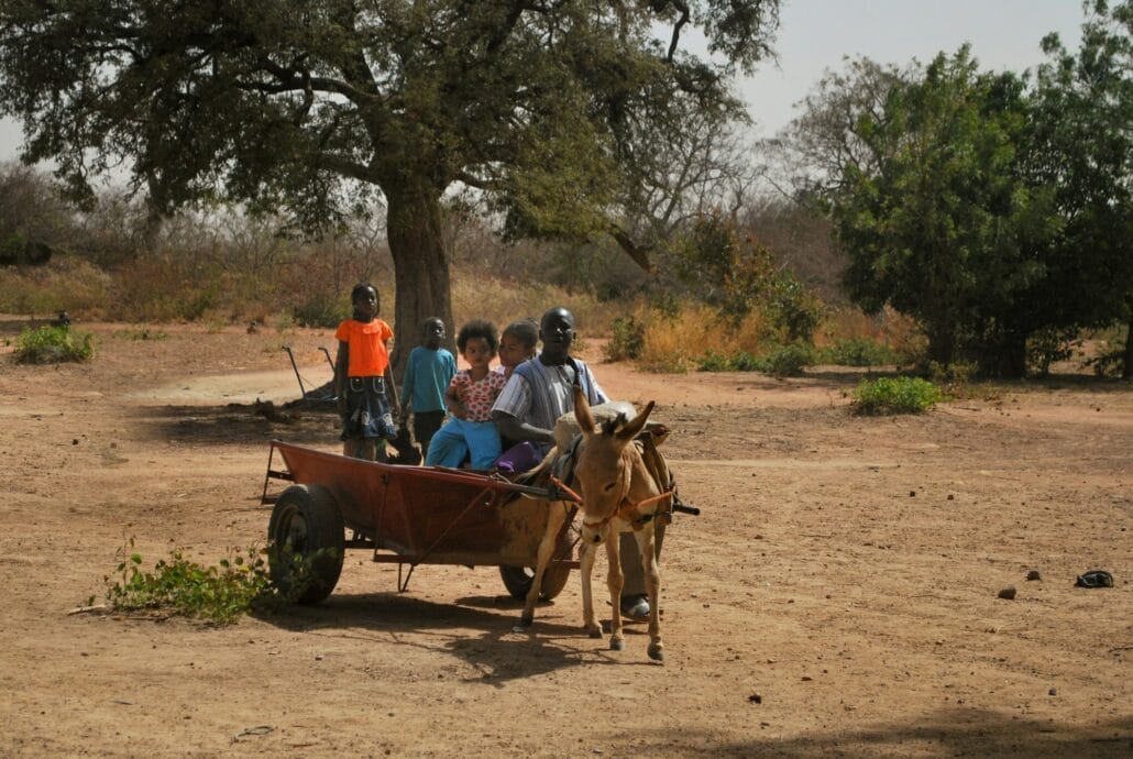 African children riding in a donkey chariot in the african outdoors - africa travel burkina faso