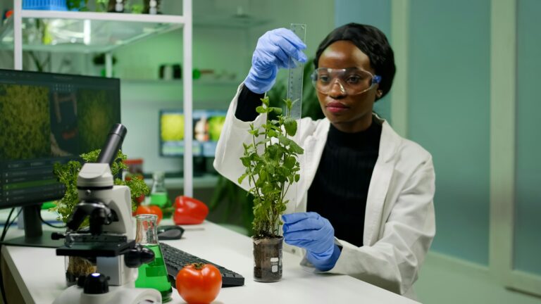 African researcher measure sapling for botany experiment