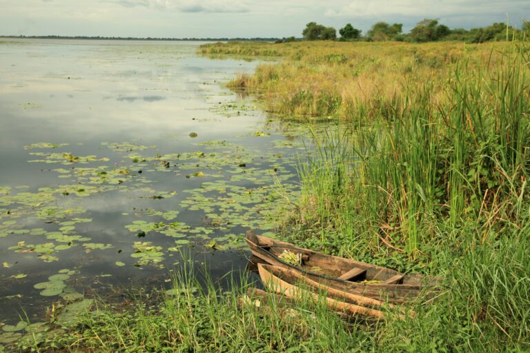 African River Setting - Agu River - Uganda, Africa