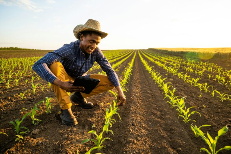 Agricultural occupation