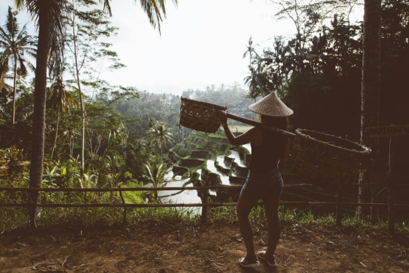 agriculture woman carrying tools on rice terraces in Ubud Village, Bali, Indonesia. Rice terraces