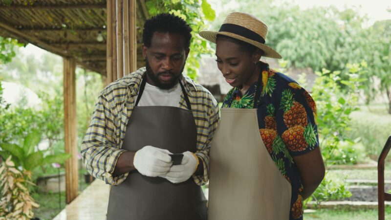 An African couple use smartphones to manage ranching business.