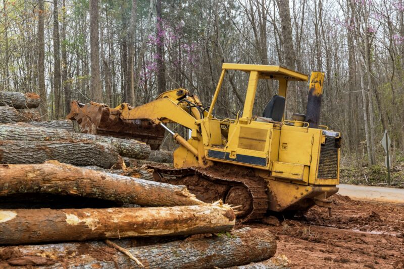 Backhoe for forestry work during clearing forest for new development construction