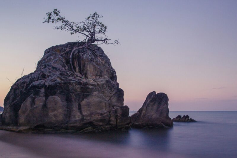 Beautiful scene of a tree inside a huge rock on tranquil majestic water in Malawi lake, Africa