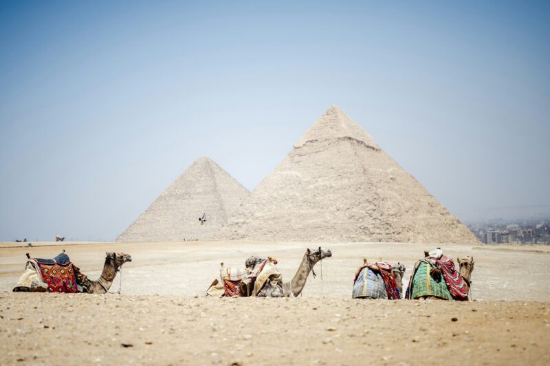 Beautiful shot of colorfully saddled camels in front of the Pyramids of Giza, Al Jizah, Egypt