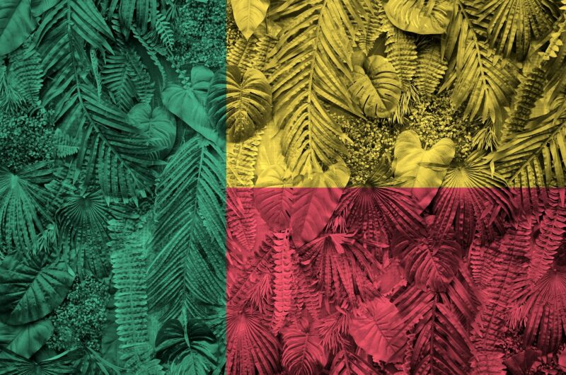 Benin flag depicted on many leafs of monstera palm trees. Trendy fashionable background