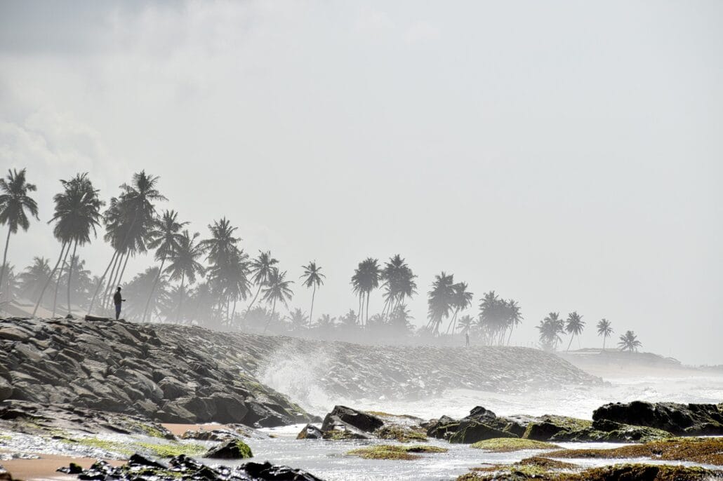Cape Coast beach in Ghana with palm tree line at the horizon