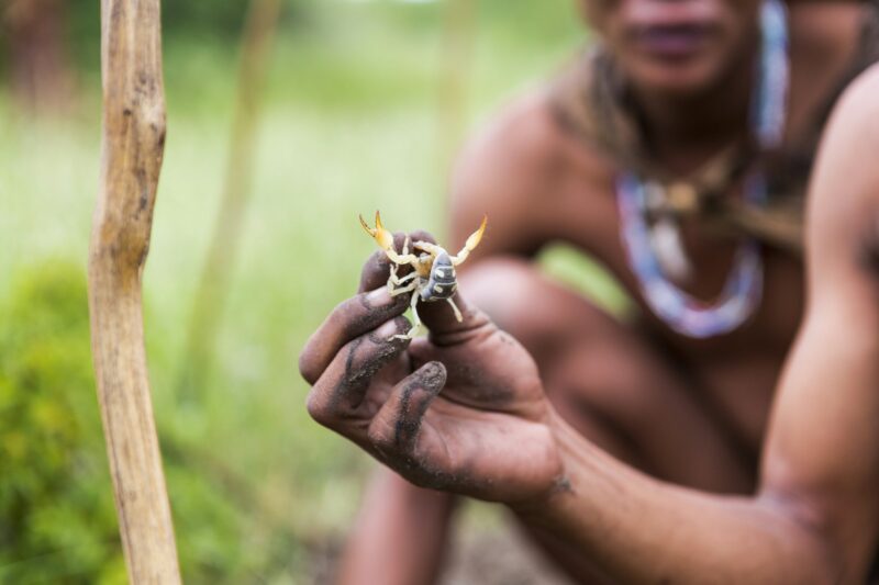 close up of Bushman holding scorpion,Botswana