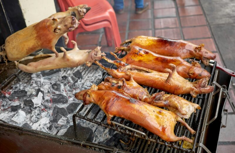 Close up photo of roasted guinea pigs on a grill, selective focus, Banos, Ecuador.