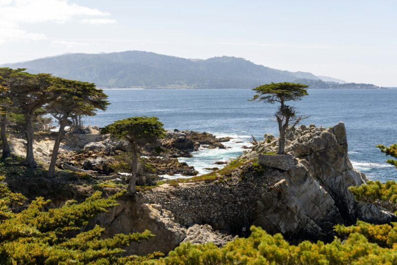Coastal landscape in California