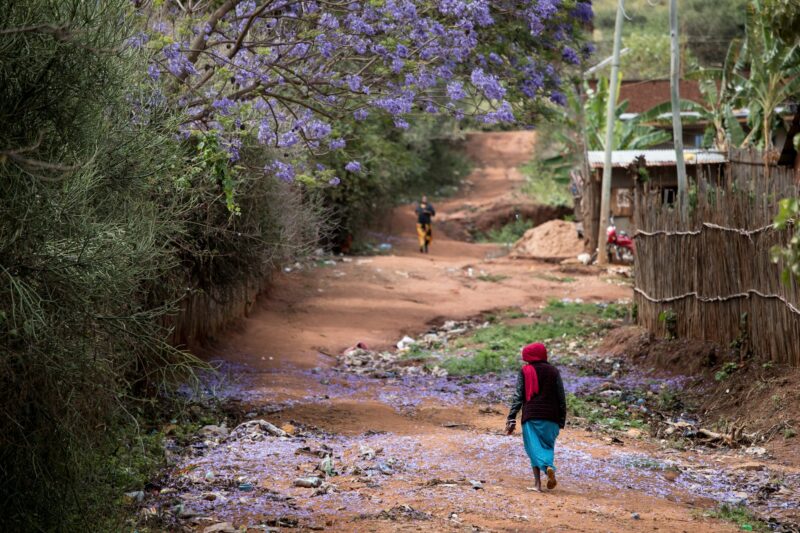 Colorful street scene in the Borana region of southern Ethiopia.