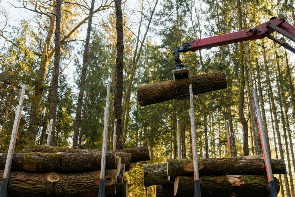 Crane in forest loading logs in the truck. Timber harvesting and transportation in forest