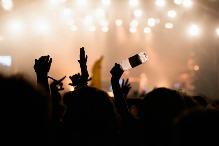 crowd at concert - summer music festival