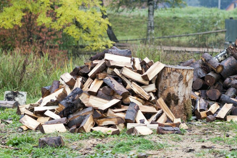 Cut logs fire wood. Renewable resource of energy. Environmental concept.