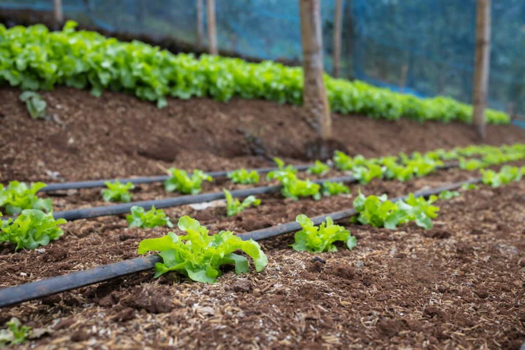 Environmentally-friendly farming methods