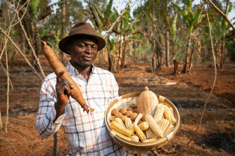 Farmer in the field with a basket with the harvest, agricultural production in Africa.