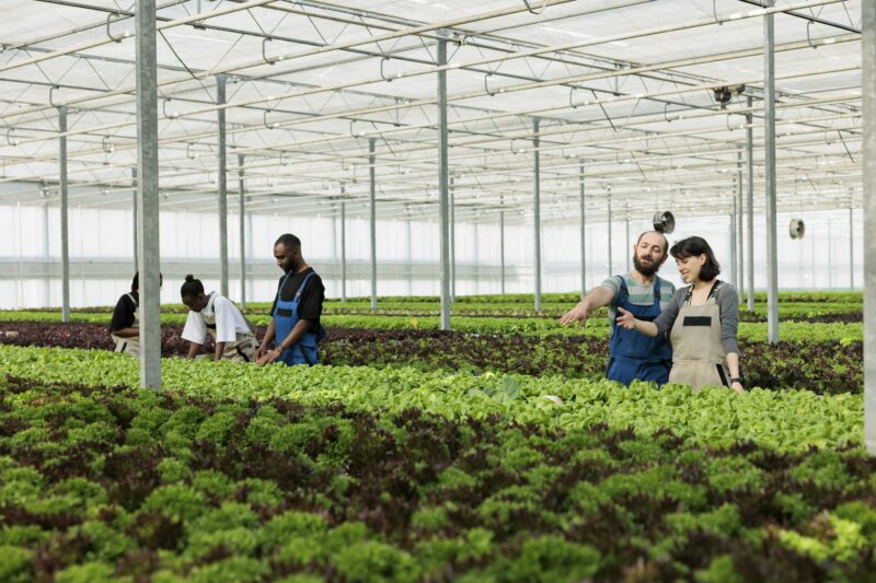 Farmers discussing agricultural methods