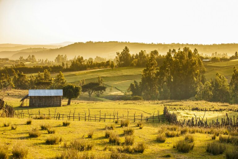 farms and mountains, Ethiopia