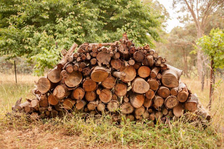 Firewood pile