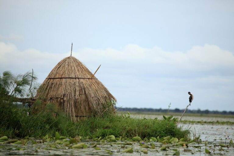 Floating Fishing Village - Uganda, Africa