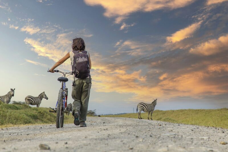 Girl on a bike next to Zebras in Naivasha in Hells Gate Park at sunset in Kenya