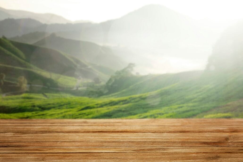 Green forest and a wooden floor