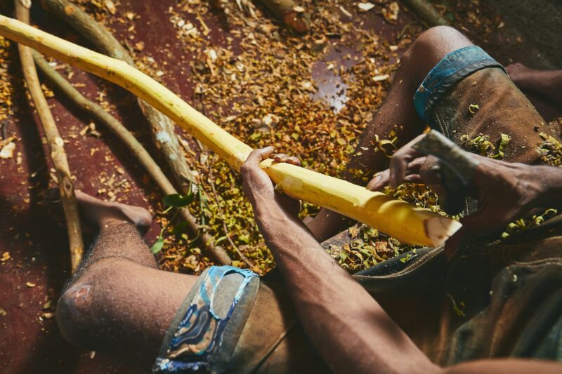 Hands of the man preparing cinnamon sticks. Manual worker in Sri Lanka.