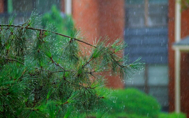 Heavy rain during a thunderstorm a heavy rainfall