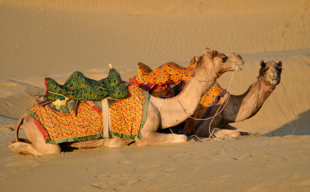 In the desert