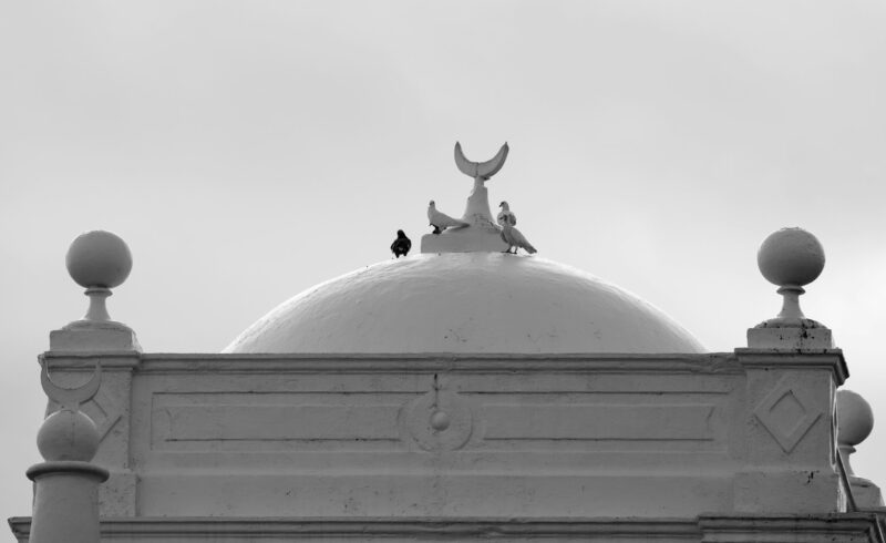 Islamic mosque exterior, birds perch in white building top.