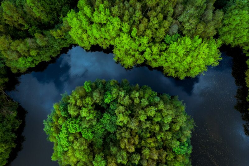 Jungle or rainforest canopy from above with river running through tree covered tropical islands