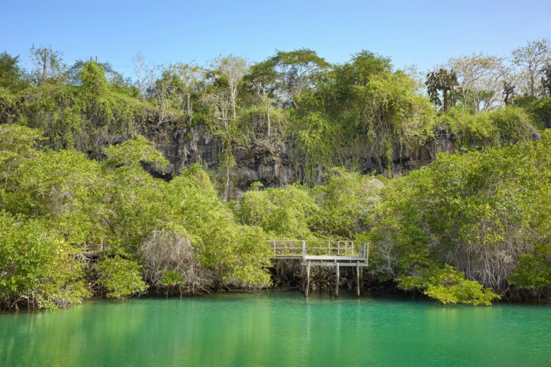 Laguna de las Ninfas in Santa Cruz Island, Galapagos, Ecuador.