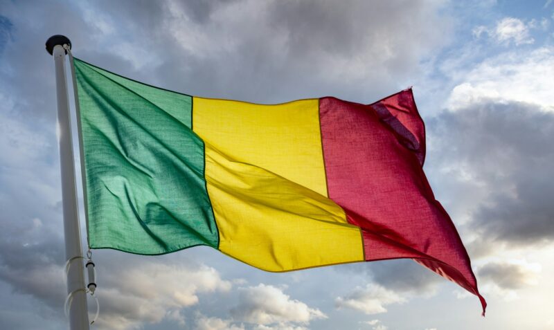 Mali flag waving against cloudy sky